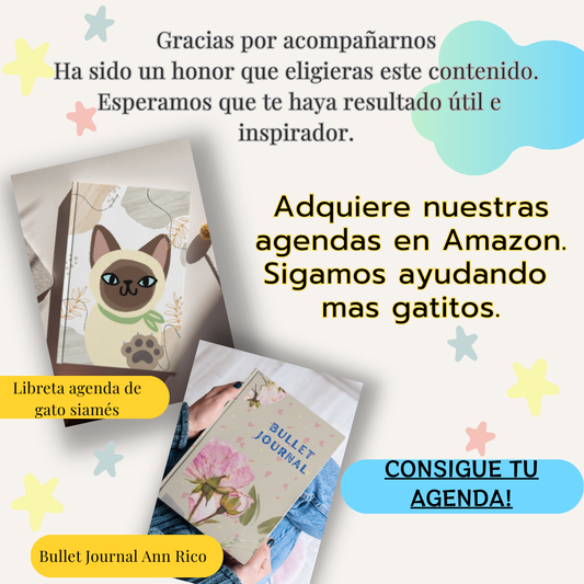Libros de CatDai 📚 – Historias Gatunas, Bullet Journal y Agenda de Gato
